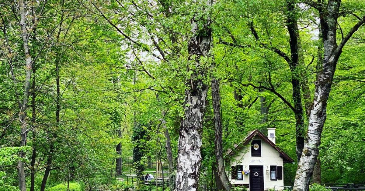 Pasinger Stadtpark muenchen.de